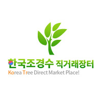 산수유 나무 팝니다